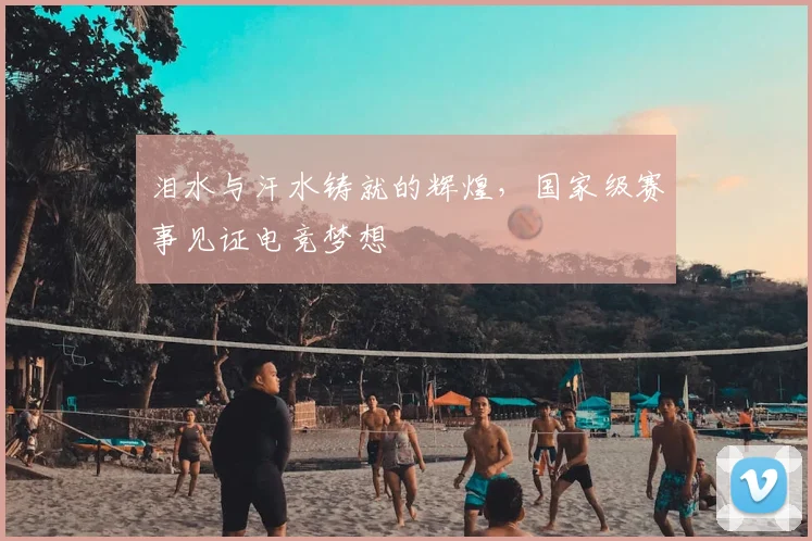 泪水与汗水铸就的辉煌,国家级赛事见证电竞梦想