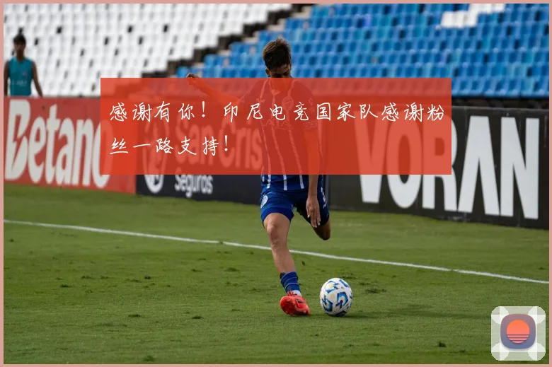感谢有你！印尼电竞国家队感谢粉丝一路支持！