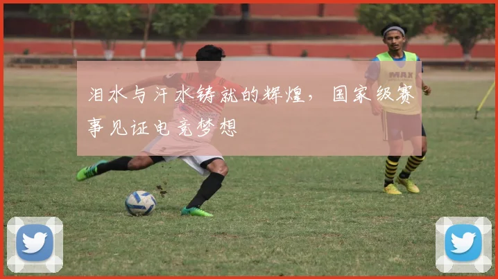泪水与汗水铸就的辉煌,国家级赛事见证电竞梦想