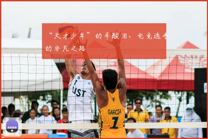 “天才少年”的辛酸泪，电竞选手的非凡之路