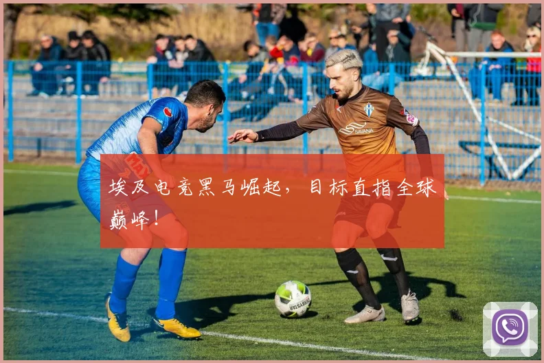 埃及电竞黑马崛起，目标直指全球巅峰！